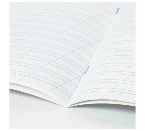 Тетрадь 12 л. BRAUBERG косая линия, обложка картон, CATS AND DOGS, 107288