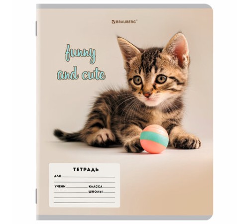 Тетрадь 12 л. BRAUBERG косая линия, обложка картон, CATS AND DOGS, 107288