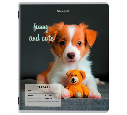 Тетрадь 12 л. BRAUBERG косая линия, обложка картон, CATS AND DOGS, 107288