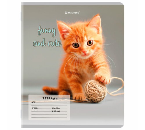 Тетрадь 12 л. BRAUBERG косая линия, обложка картон, CATS AND DOGS, 107288