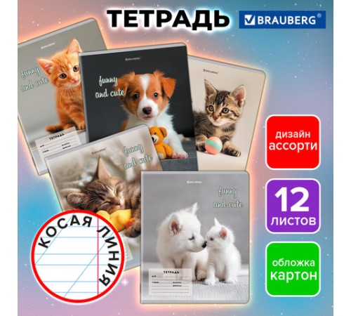 Тетрадь 12 л. BRAUBERG косая линия, обложка картон, CATS AND DOGS, 107288