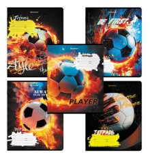 Тетрадь 12 л. BRAUBERG косая линия, обложка картон, ФУТБОЛ, 107290