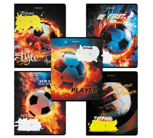 Тетрадь 12 л. BRAUBERG косая линия, обложка картон, ФУТБОЛ, 107290