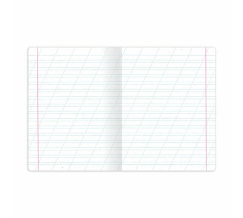 Тетрадь 12 л. BRAUBERG косая линия, обложка картон, ФУТБОЛ, 107290