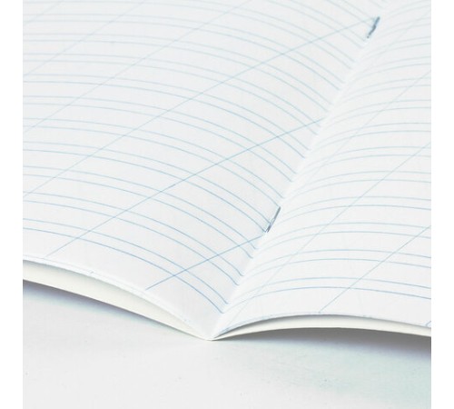 Тетрадь 12 л. BRAUBERG косая линия, обложка картон, ФУТБОЛ, 107290