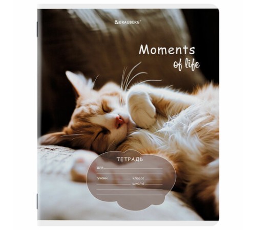 Тетрадь 18 л. BRAUBERG клетка, обложка картон, КОТЯТА, 107292