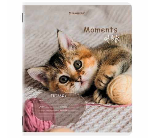 Тетрадь 18 л. BRAUBERG клетка, обложка картон, КОТЯТА, 107292