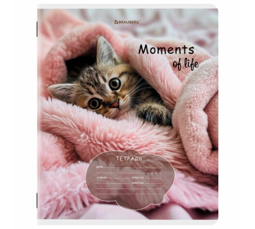 Тетрадь 18 л. BRAUBERG клетка, обложка картон, КОТЯТА, 107292