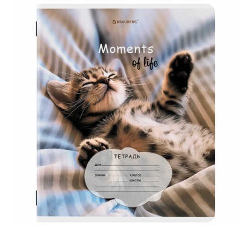 Тетрадь 18 л. BRAUBERG клетка, обложка картон, КОТЯТА, 107292