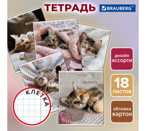 Тетрадь 18 л. BRAUBERG клетка, обложка картон, КОТЯТА, 107292
