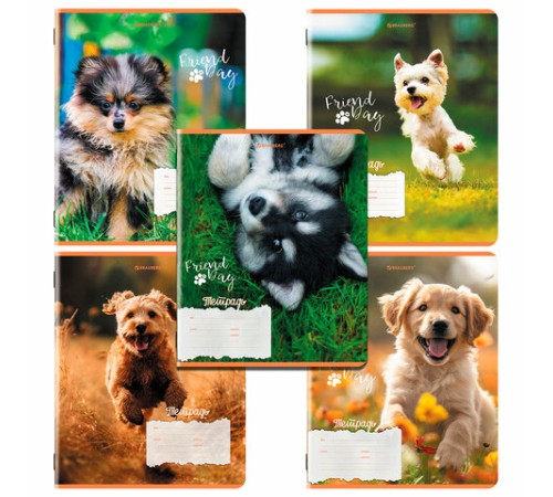 Тетрадь 18 л. BRAUBERG клетка, обложка картон, СОБАЧКИ, 107295