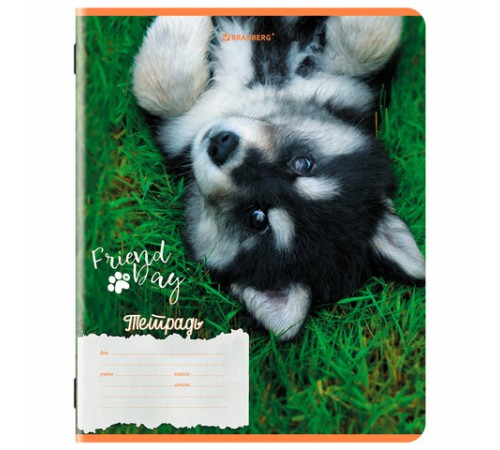 Тетрадь 18 л. BRAUBERG клетка, обложка картон, СОБАЧКИ, 107295