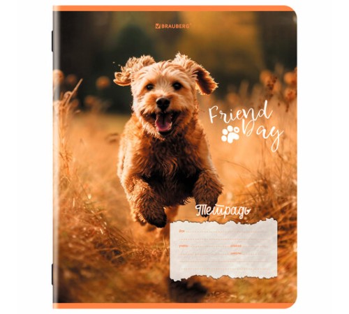 Тетрадь 18 л. BRAUBERG клетка, обложка картон, СОБАЧКИ, 107295