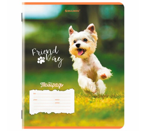 Тетрадь 18 л. BRAUBERG клетка, обложка картон, СОБАЧКИ, 107295