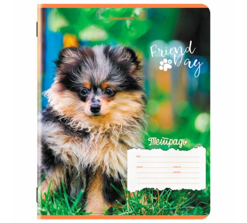 Тетрадь 18 л. BRAUBERG клетка, обложка картон, СОБАЧКИ, 107295