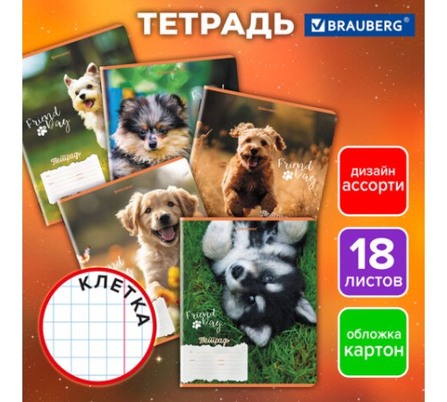 Тетрадь 18 л. BRAUBERG клетка, обложка картон, СОБАЧКИ, 107295