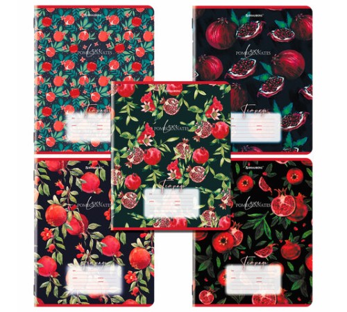 Тетрадь 18 л. BRAUBERG, клетка, обложка картон, ГРАНАТ, 107296