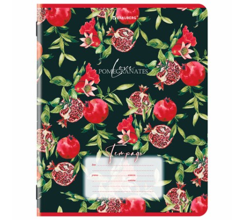 Тетрадь 18 л. BRAUBERG, клетка, обложка картон, ГРАНАТ, 107296