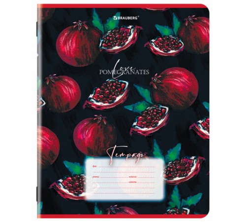 Тетрадь 18 л. BRAUBERG, клетка, обложка картон, ГРАНАТ, 107296