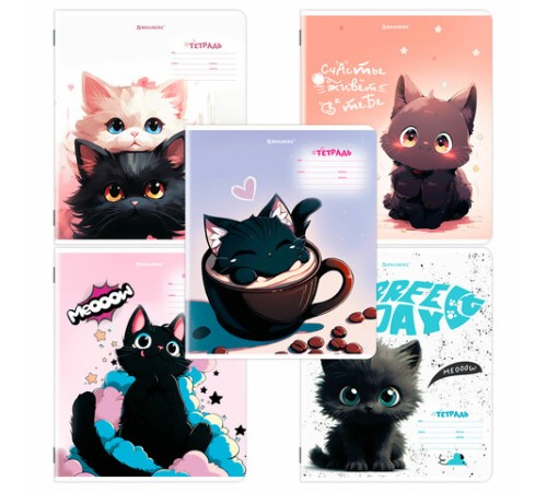 Тетрадь 18 л. BRAUBERG клетка, обложка картон, КОТИКИ, 107300