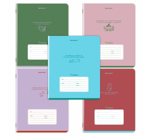 Тетрадь 24 л. BRAUBERG клетка, обложка картон, PHRASES, 107304