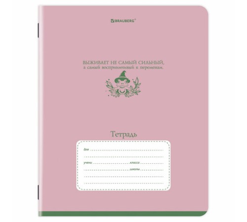 Тетрадь 24 л. BRAUBERG клетка, обложка картон, PHRASES, 107304