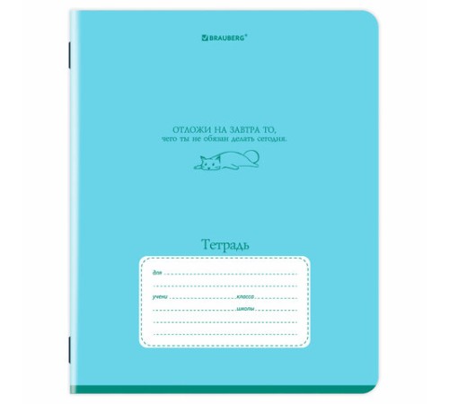 Тетрадь 24 л. BRAUBERG клетка, обложка картон, PHRASES, 107304