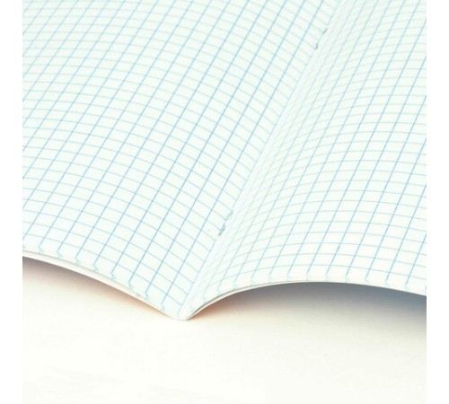 Тетрадь 24 л. BRAUBERG, клетка, обложка картон, CLASSIC, 107308