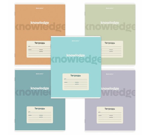 Тетрадь 24 л. BRAUBERG, линия, обложка картон, KNOWLEDGE, 107309