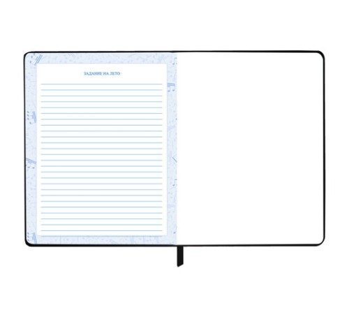 Дневник для музыкальной школы 170х215 мм, 48 л., обложка кожзам твердая, фольга, BRAUBERG, справочный материал, МУЗЫКАНТЫ, 107366