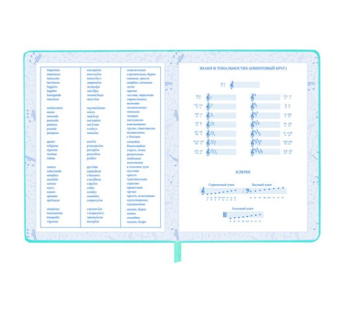 Дневник для музыкальной школы 170х215 мм, 48 л., обложка кожзам твердая, фольга, BRAUBERG, справочный материал, КОТИК, 107367