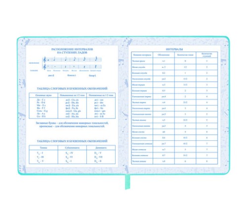 Дневник для музыкальной школы 170х215 мм, 48 л., обложка кожзам твердая, фольга, BRAUBERG, справочный материал, КОТИК, 107367