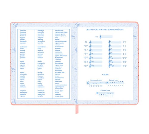 Дневник для музыкальной школы 170х215 мм, 48 л., обложка кожзам твердая, фольга, BRAUBERG, справочный материал, НОТКИ, 107368