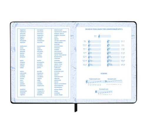 Дневник для музыкальной школы 170х215 мм, 48 л., обложка кожзам твердая, фольга, BRAUBERG, справочный материал, КЛАССИКА, 107369