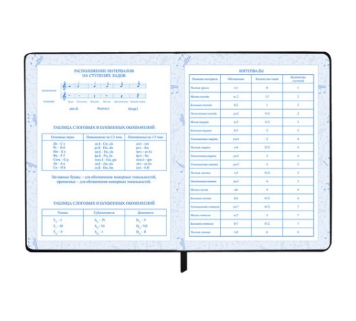 Дневник для музыкальной школы 170х215 мм, 48 л., обложка кожзам твердая, фольга, BRAUBERG, справочный материал, КЛАССИКА, 107369