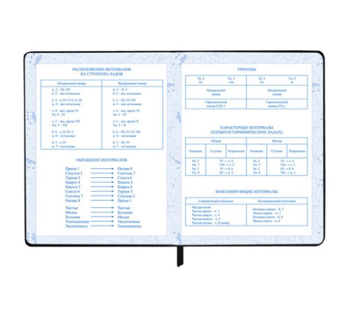 Дневник для музыкальной школы 170х215 мм, 48 л., обложка кожзам твердая, фольга, BRAUBERG, справочный материал, КЛАССИКА, 107369