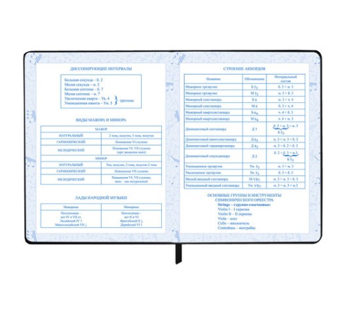 Дневник для музыкальной школы 170х215 мм, 48 л., обложка кожзам твердая, фольга, BRAUBERG, справочный материал, КЛАССИКА, 107369