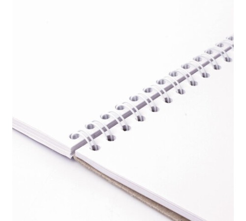 Скетчбук, белая бумага 100 г/м2, 297х410 мм, 50 л., гребень, жёсткая подложка, BRAUBERG ART DEBUT, 110980