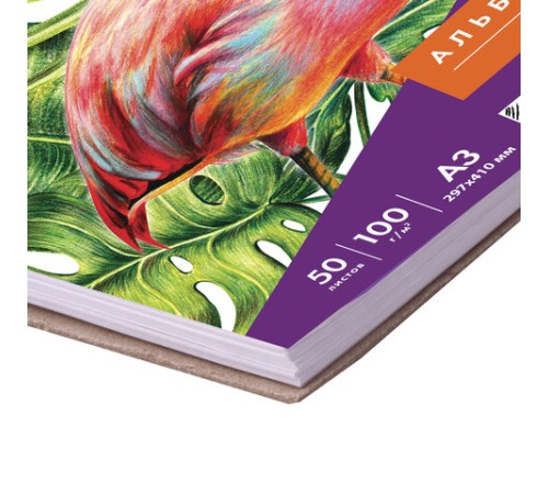 Скетчбук, белая бумага 100 г/м2, 297х410 мм, 50 л., гребень, жёсткая подложка, BRAUBERG ART DEBUT, 110980