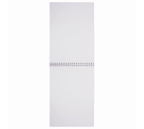 Скетчбук, белая бумага 160 г/м2, 205х290 мм, 30 л., гребень, жёсткая подложка, BRAUBERG ART DEBUT, 110985