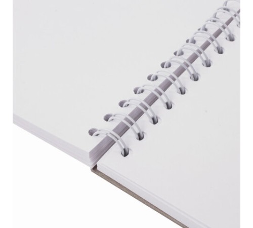 Скетчбук, белая бумага 160 г/м2, 205х290 мм, 30 л., гребень, жёсткая подложка, BRAUBERG ART DEBUT, 110985