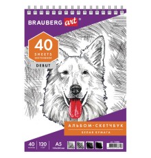 Скетчбук, белая бумага 120 г/м2, 145х205 мм, 40 л., гребень, жёсткая подложка, BRAUBERG ART DEBUT, 110988