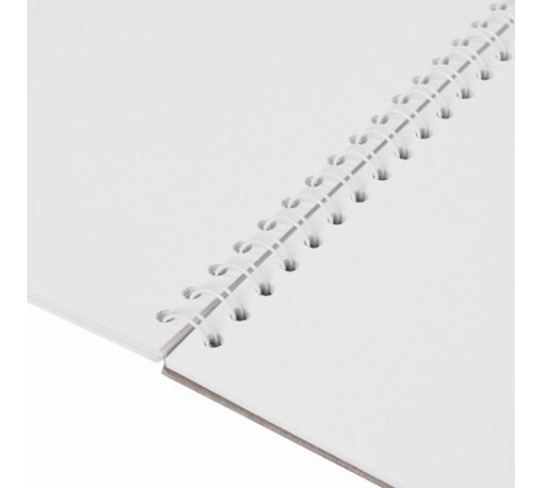 Скетчбук, акварельная белая бумага 200 г/м ГОЗНАК, 205х290 мм, 20 л., гребень, подложка, BRAUBERG ART DEBUT, 110991