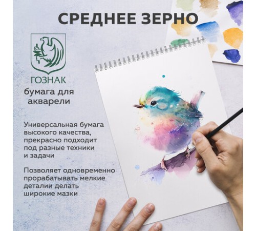Скетчбук, акварельная белая бумага 200 г/м ГОЗНАК, 145х205 мм, 40 л., гребень, подложка, BRAUBERG ART DEBUT, 110994