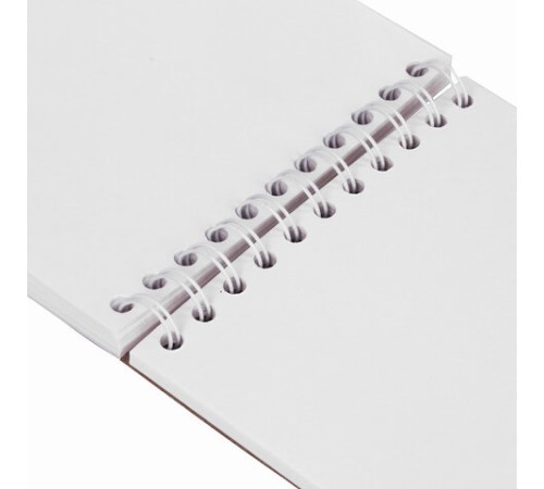 Скетчбук, акварельная белая бумага 200 г/м ГОЗНАК, 145х205 мм, 40 л., гребень, подложка, BRAUBERG ART DEBUT, 110994