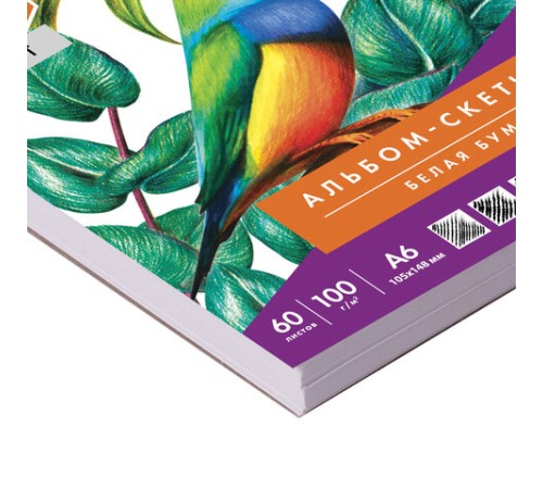 Скетчбук, белая бумага 100 г/м2, 105х148 мм, 60 л., гребень, жёсткая подложка, BRAUBERG ART DEBUT, 110997