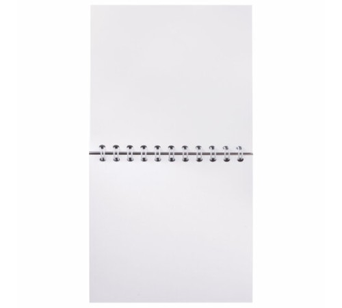 Скетчбук, белая бумага 100 г/м2, 190х190 мм, 60 л., гребень, жёсткая подложка, BRAUBERG ART DEBUT, 110998