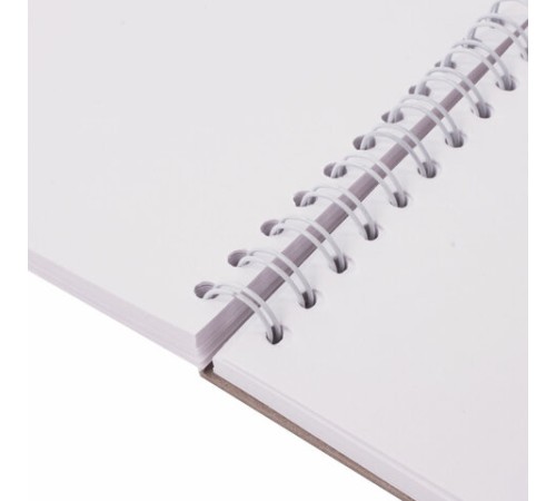 Скетчбук, белая бумага 100 г/м2, 190х190 мм, 60 л., гребень, жёсткая подложка, BRAUBERG ART DEBUT, 110998