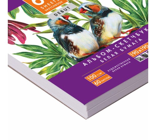 Скетчбук, белая бумага 100 г/м2, 190х190 мм, 60 л., гребень, жёсткая подложка, BRAUBERG ART DEBUT, 110998