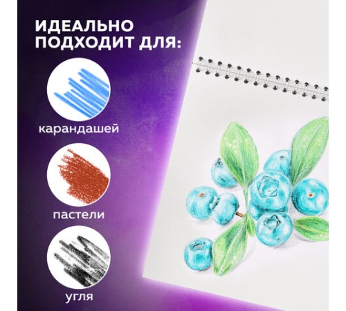 Скетчбук, белая бумага 100 г/м2, 190х190 мм, 60 л., гребень, жёсткая подложка, BRAUBERG ART DEBUT, 110998